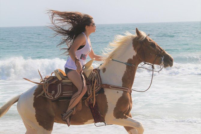 Cabo Desert ATV & Beach Horseback Combo enjoy adventure and beauty! - The Sum Up: The Real Value of the Cabo Desert ATV & Beach Horseback Combo