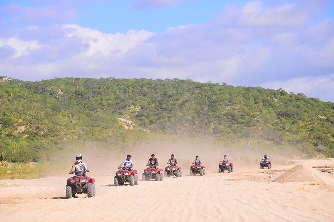 Cabo Desert Off-Road & Beach Horseback Combo and Tequila Tasting - Key Points