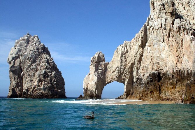 Cabo Encounter with Optional Clear Boat and Lunch - Key Points