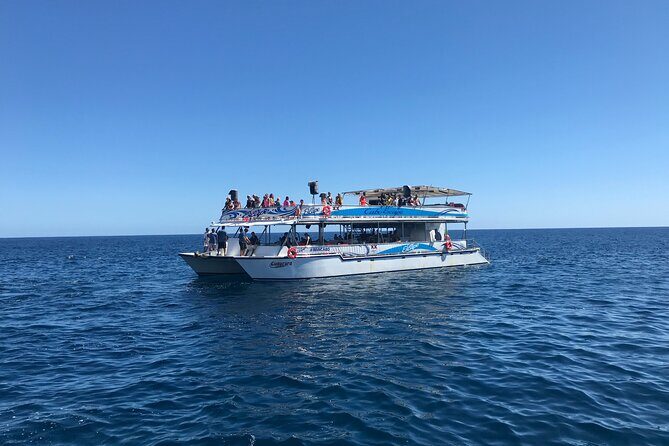 Cabo Escape Snorkel Fun Cruise - Final Thoughts