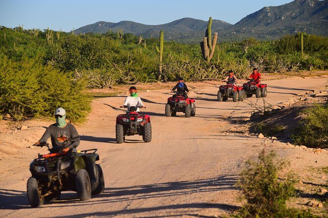Cabo Migrino Beach and Desert ATV Tour plus Tequila Tasting - Travelers’ Experiences: Authentic Praise and Practical Tips