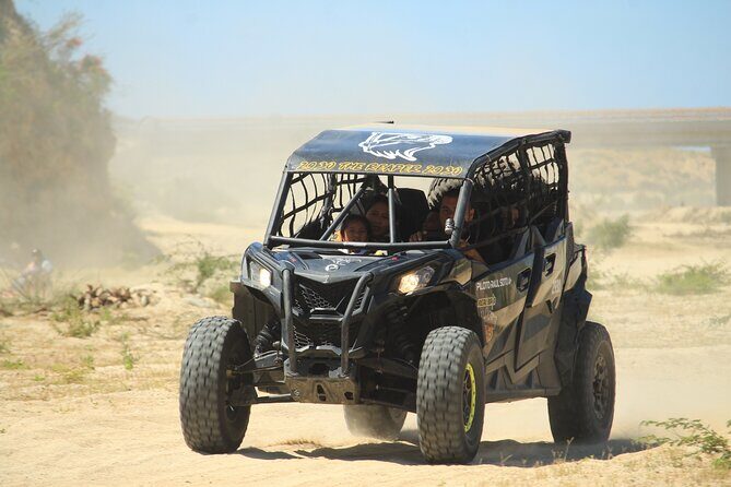 Cabo Migrino Beach & Desert Tour (Quad UTV) - An In-Depth Look at the Cabo Migrino UTV Tour