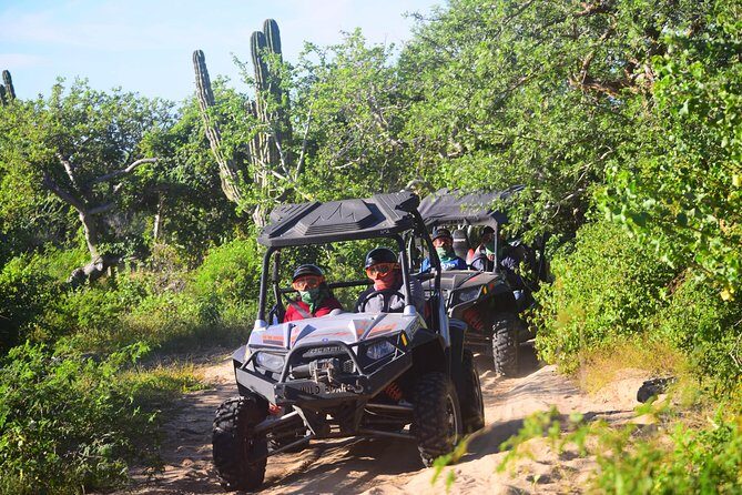 Cabo Original Real Baja 1000 Tour (UTV) - An In-Depth Look at the Cabo Original Real Baja 1000 Tour (UTV)