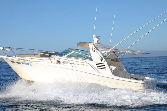 Cabo Private 36ft Yacht Scenic Cruise & Relaxation - Key Points