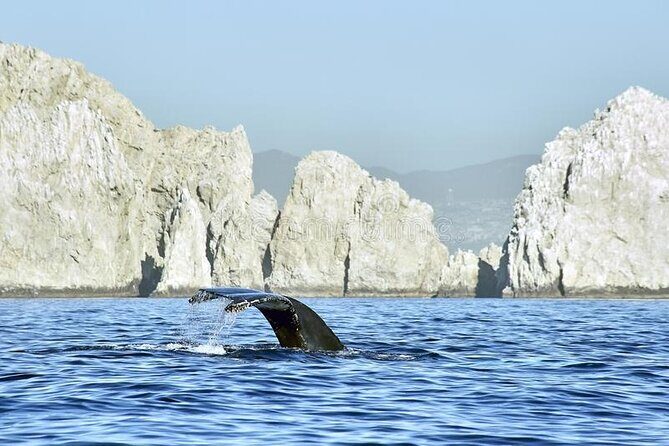 Cabo Private Transportation to Cabo - An Introduction to the Cabo Private Transfer Experience