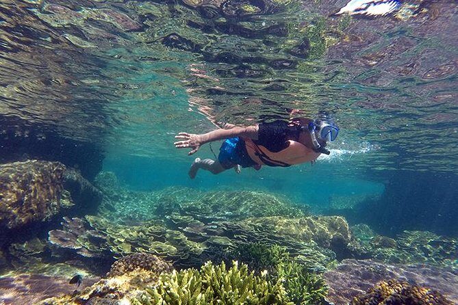 Cabo Pulmo National Park Snorkel Expedition from Cabo San Lucas - Key Points