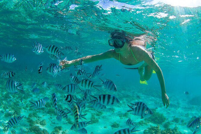 Cabo Pulmo Snorkel Adventure - Key Points