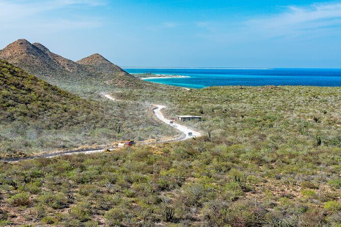 Cabo Pulmo Snorkel Adventure - Why the Price Reflects Value