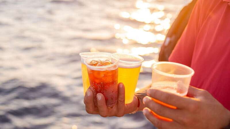 Cabo San Lucas: 2 Hour Sunset Cruise with Food and Wine - An In-Depth Look at the Sunset Cruise