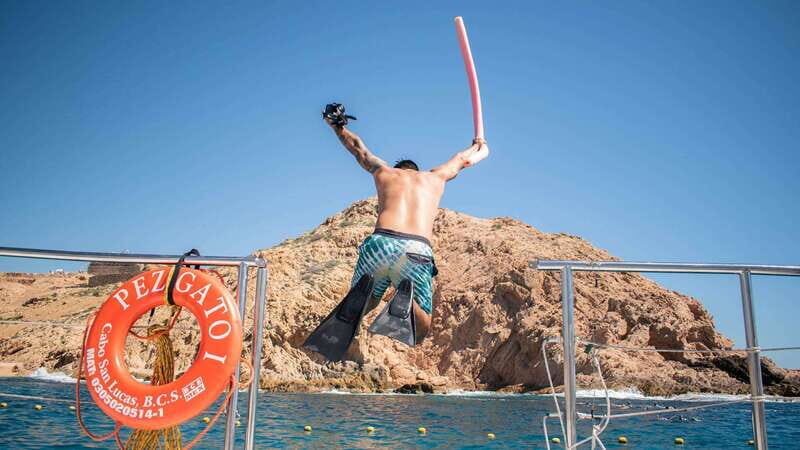 Cabo San Lucas: 4-Hour Snorkeling Cruise with Open Bar - Key Points