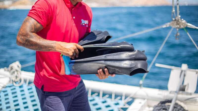 Cabo San Lucas: 4-Hour Snorkeling Cruise with Open Bar - Considerations and Practical Tips