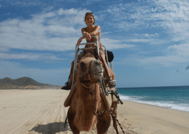Cabo San Lucas: Amazing Camel Adventure on the Beach - A Genuine Look at the Camel Adventure Experience