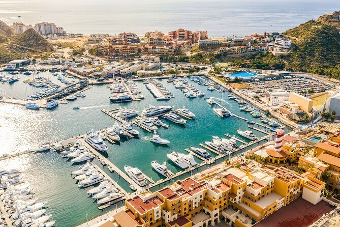 Cabo San Lucas Arch Cruise and Shopping Tour - Key Points