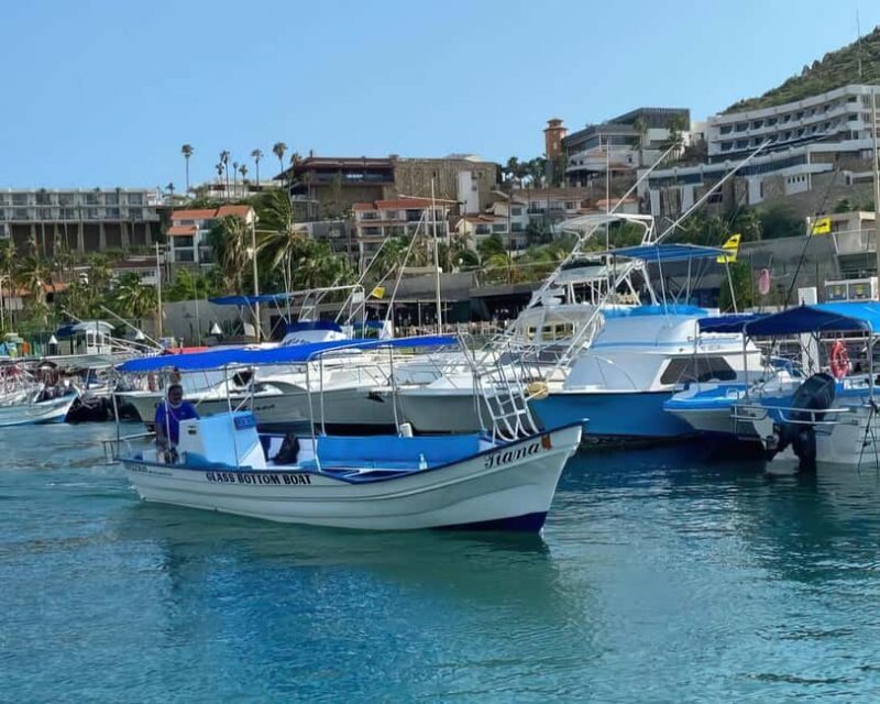 Cabo San Lucas: Arch Tour Glass Bottom Boat - What Makes This Tour Stand Out?