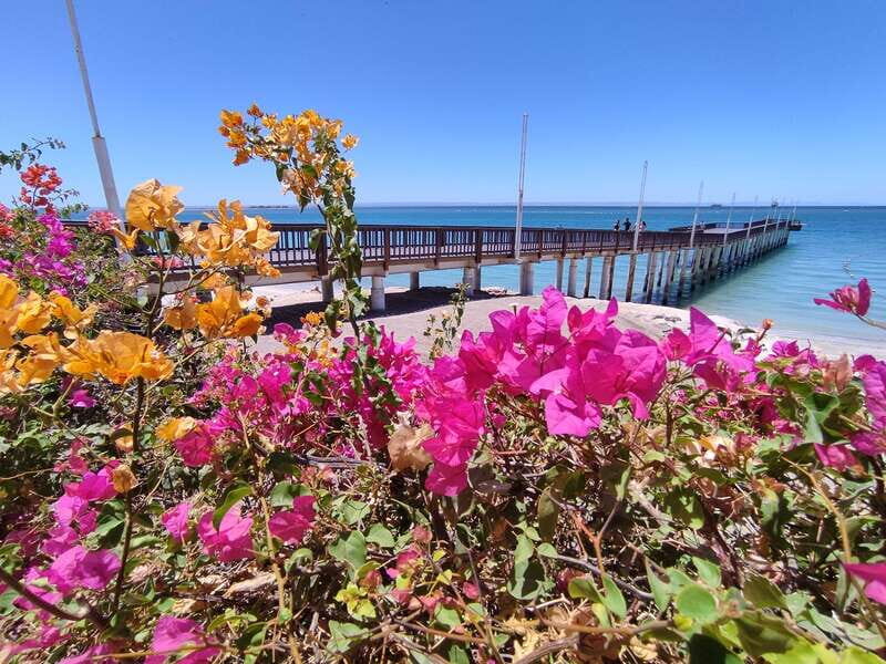 Cabo San Lucas: Balandra Beach and City Tour - Who Will Appreciate This Tour?