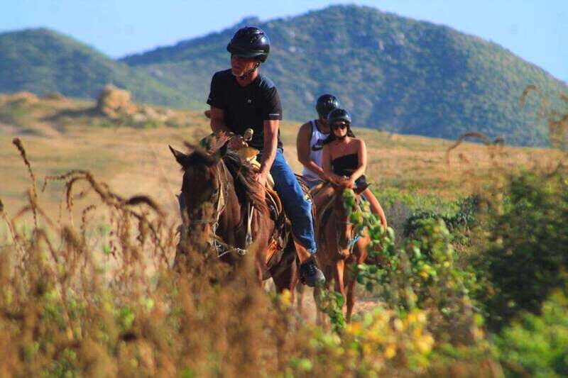 Cabo San Lucas: Beach & Desert Horseback Riding Tour - An In-Depth Look at the Cabo San Lucas Horseback Riding Experience