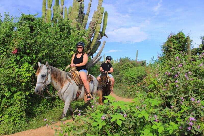Cabo San Lucas: Beach & Desert Horseback Riding Tour - FAQs