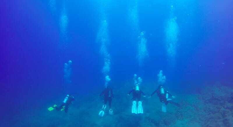 Cabo San Lucas: Beginners Diving Experience w/ Water & Snack - FAQ