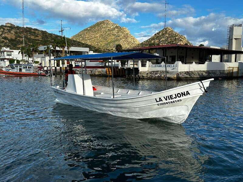 Cabo San Lucas: boat tour around the peninsula and stay at the beach - Key Points