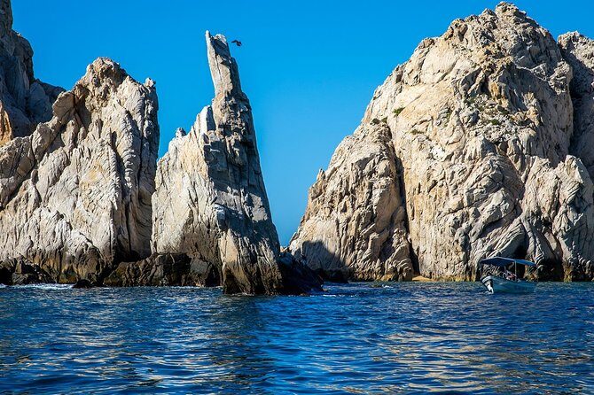 Cabo San Lucas Boat Tour - What Do the Reviews Say?