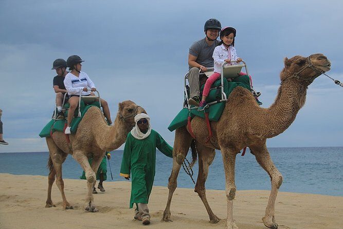 Cabo San Lucas Camel Ride and Encounter on Beach and Desert - How the Tour Is Structured and Why It Matters