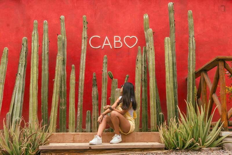 Cabo San Lucas: Camel Safari Tour with Lunch and Tequila - An Honest Look at the Tour Experience