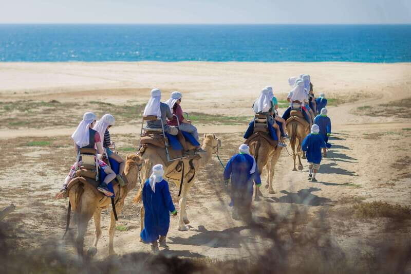Cabo San Lucas: Camel Safari Tour with Lunch and Tequila - Final Thoughts: Is This Tour Worth It?