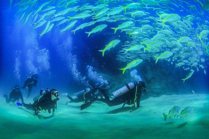 Cabo San Lucas Certified 2 Tank Dive at the Famous Arch and Land's End - Key Points