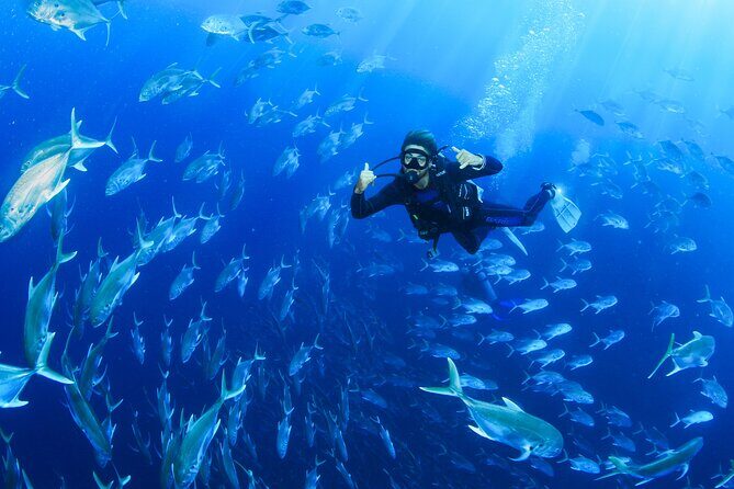 Cabo San Lucas Certified 2 Tank Dive at the Famous Arch and Land's End - What to Expect from the Tour