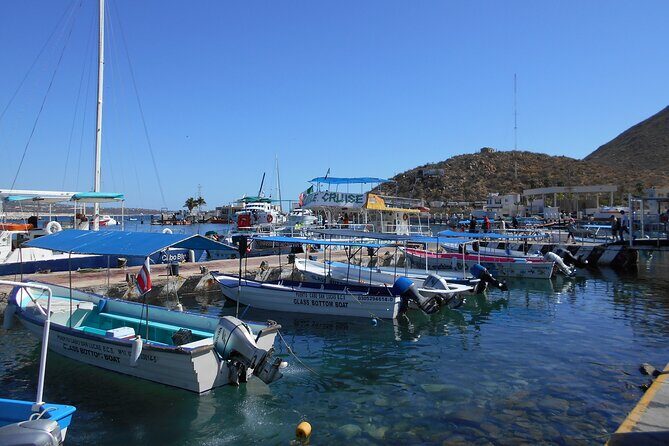 Cabo San Lucas City Tour and Optional Beach Time - FAQ