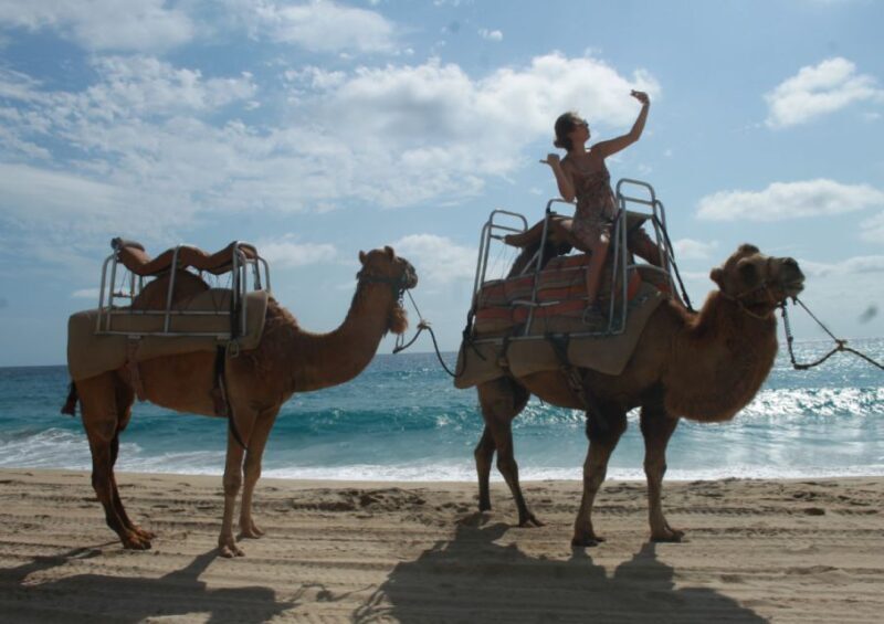 Cabo San Lucas: Combo Vehicle plus Camel or Horse Tour - Exploring Baja’s Natural Beauty in Just Two Hours