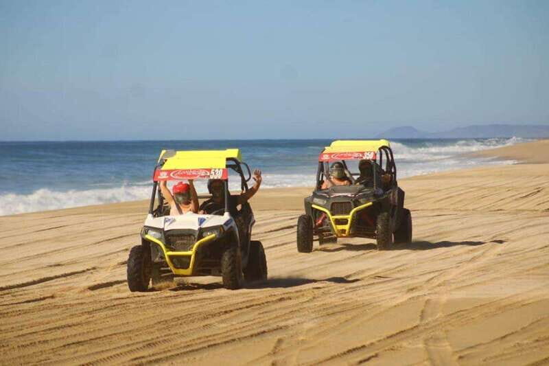 Cabo San Lucas: Desert and Beach RZR and Horseback Riding - What Reviews Say