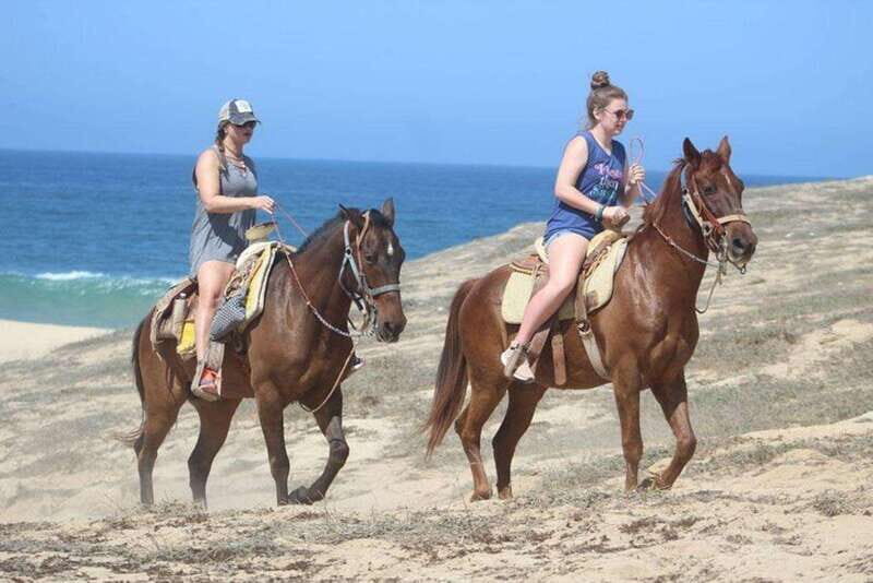 Cabo San Lucas: Desert ATV & Beach Horseback Combo - Key Points