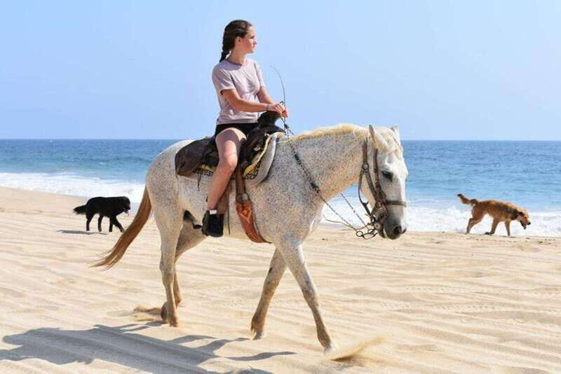 Cabo San Lucas: Desert ATV & Beach Horseback Combo - What to Expect During Your Cabo Adventure