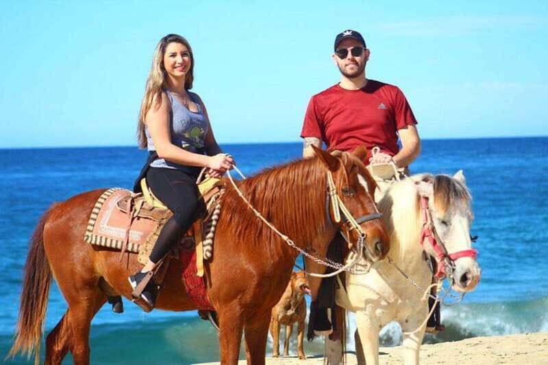 Cabo San Lucas: Desert ATV & Beach Horseback Combo - Who Should Consider This Tour?