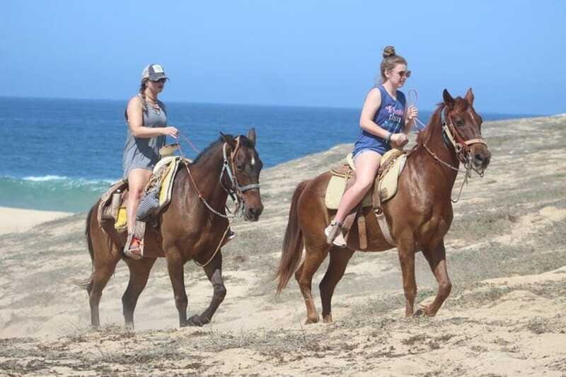 Cabo San Lucas: Desert ATV & Beach Horseback Combo - The Sum Up