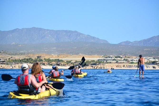 Cabo San Lucas Glass Bottom Kayak Tour and Snorkel at Two Bays - Final Thoughts