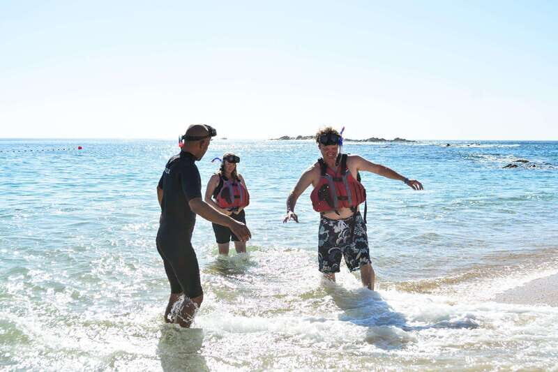 Cabo San Lucas: Guided Snorkeling Tour with Transportation - What to Expect from Your Cabo Snorkeling Experience