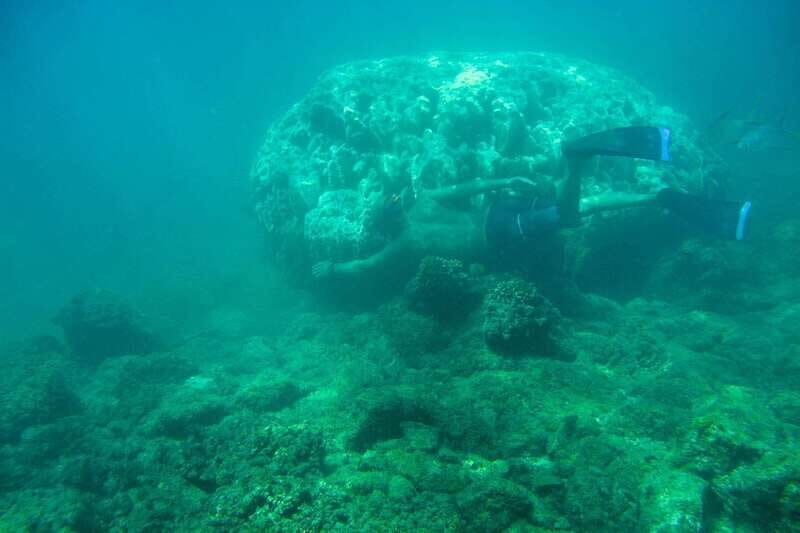 Cabo San Lucas: Guided Snorkeling Tour with Transportation - Final Thoughts: Is This Tour Worth It?