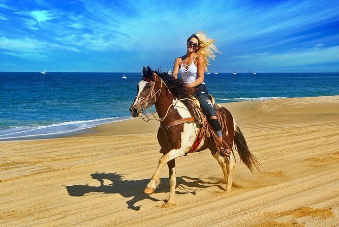 Cabo San Lucas Horseback Ride on Beach and Desert - An Introduction to the Experience