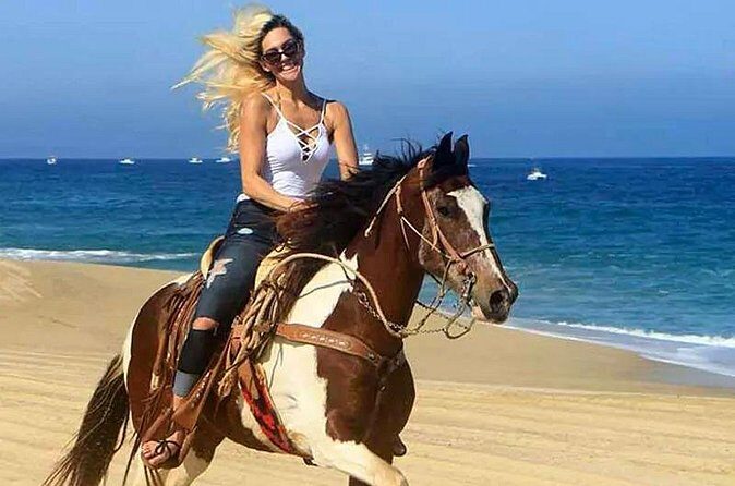 Cabo San Lucas Horseback Ride on Beach and Desert - Authentic Experiences and Feedback