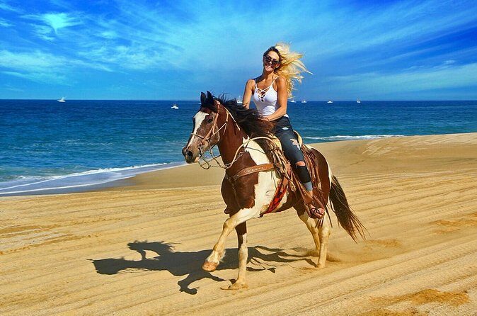 Cabo San Lucas Horseback Ride on Beach and Desert - Who Should Consider This Tour?