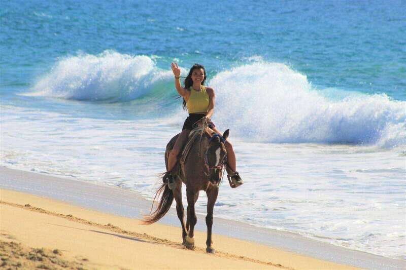 Cabo San Lucas: Horseback Riding Corredor Turistico - An In-Depth Look at the Cabo San Lucas Horseback Riding Tour