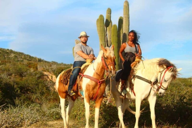 Cabo San Lucas: Horseback Riding on the Beach Experience - Final Thoughts: The Value and Who It’s For