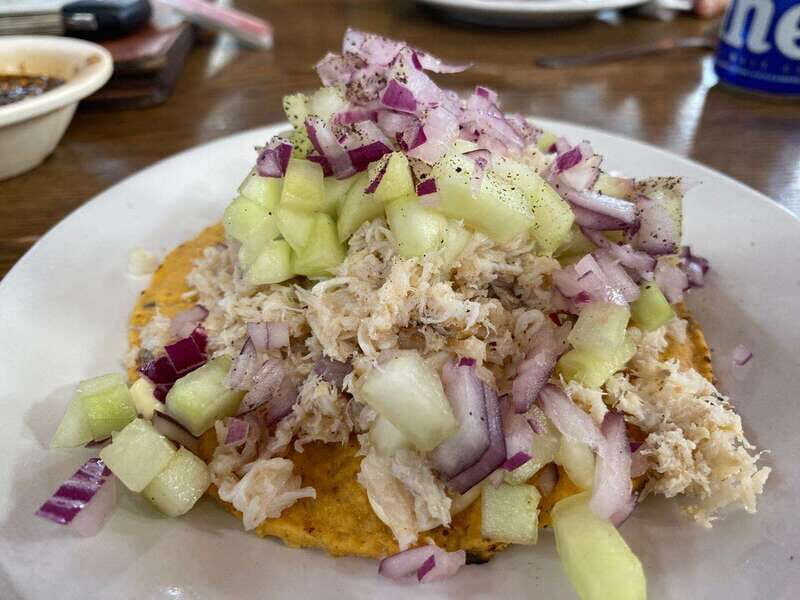 Cabo San Lucas: Mexican Beer & Seafood Madness - An In-Depth Look at the Cabo San Lucas Seafood & Beer Tour