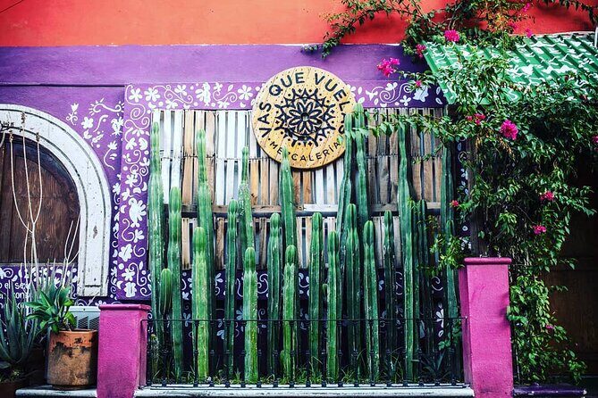 Cabo San Lucas Mezcal Tasting and Cocktail Class - Practical Tips for Visitors