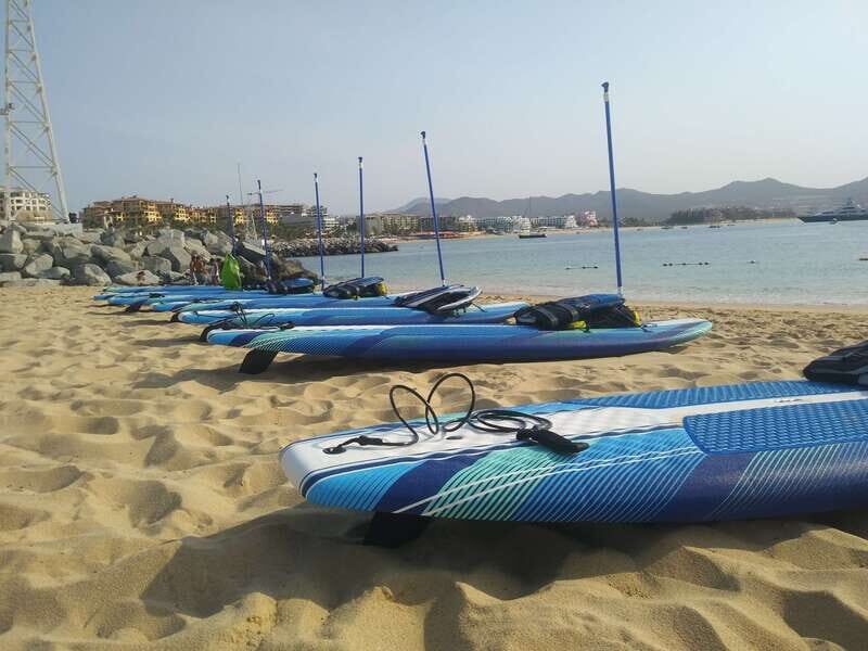 Cabo san Lucas: Paddle Boarding or Kayak and Snorkeling - Final Thoughts: Who Will Love This Experience?
