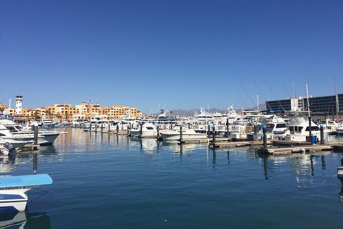Cabo San Lucas Pirate Adventure - Family Sunset Cruise - Value and Pricing