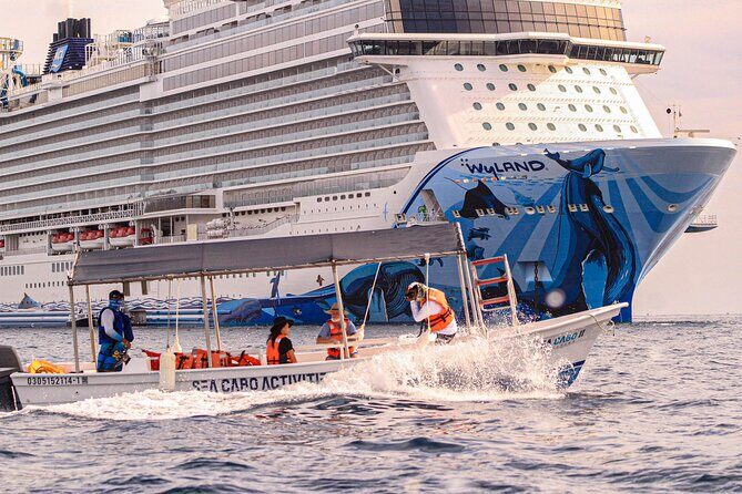 Cabo San Lucas Shared Glass Bottom Boat Experience - Key Points