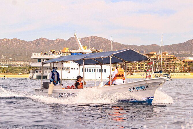 Cabo San Lucas Shared Glass Bottom Boat Experience - Who Would Enjoy This Tour?
